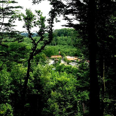 Randboldal Camping & Cabins Екстер'єр фото