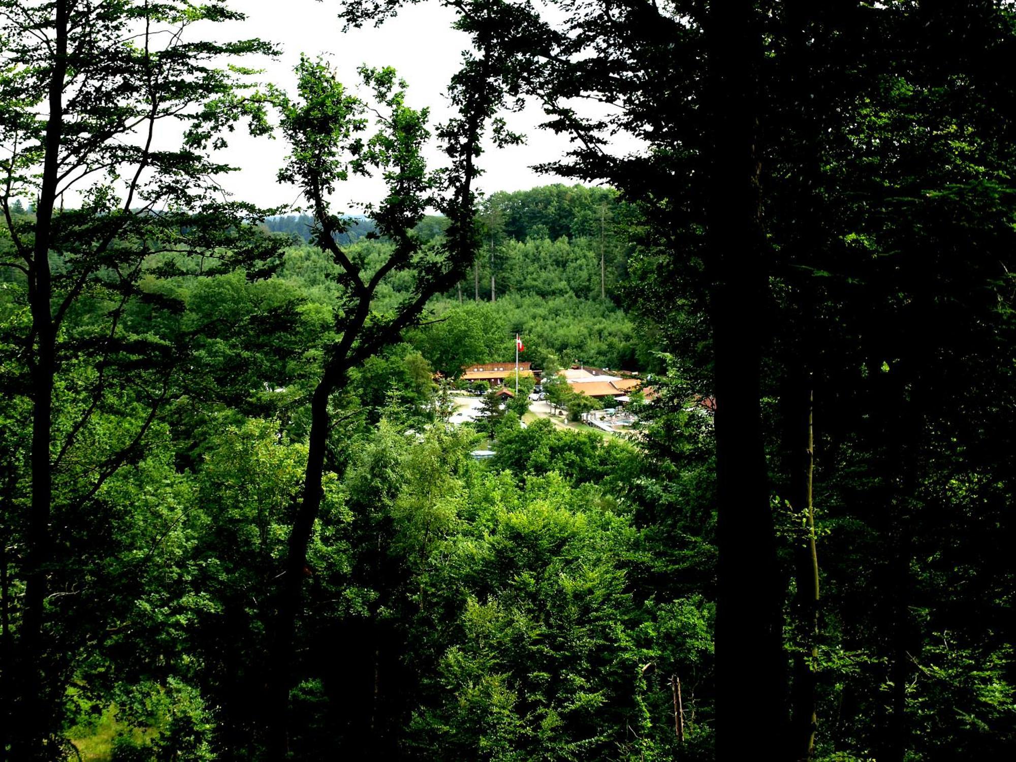 Randboldal Camping & Cabins Екстер'єр фото