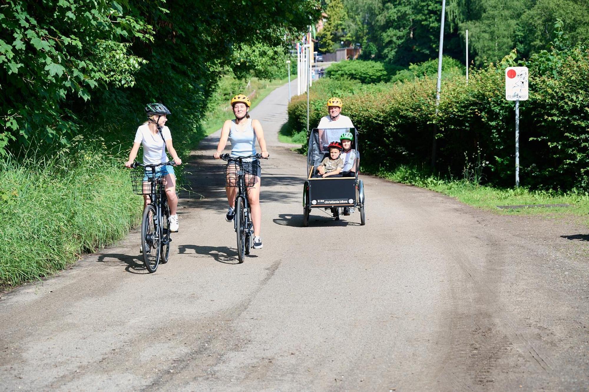Randboldal Camping & Cabins Екстер'єр фото