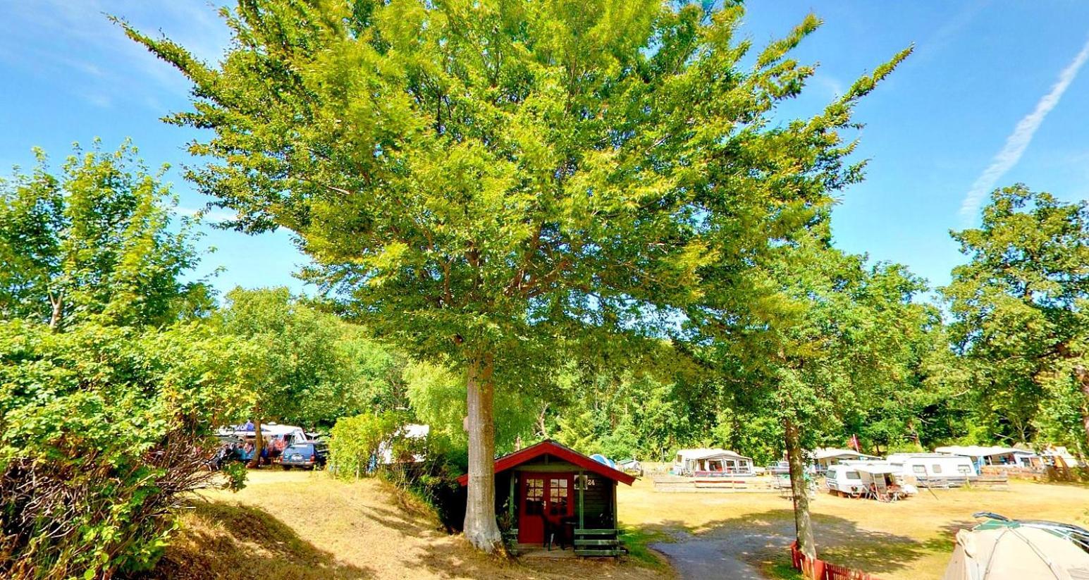 Randboldal Camping & Cabins Екстер'єр фото