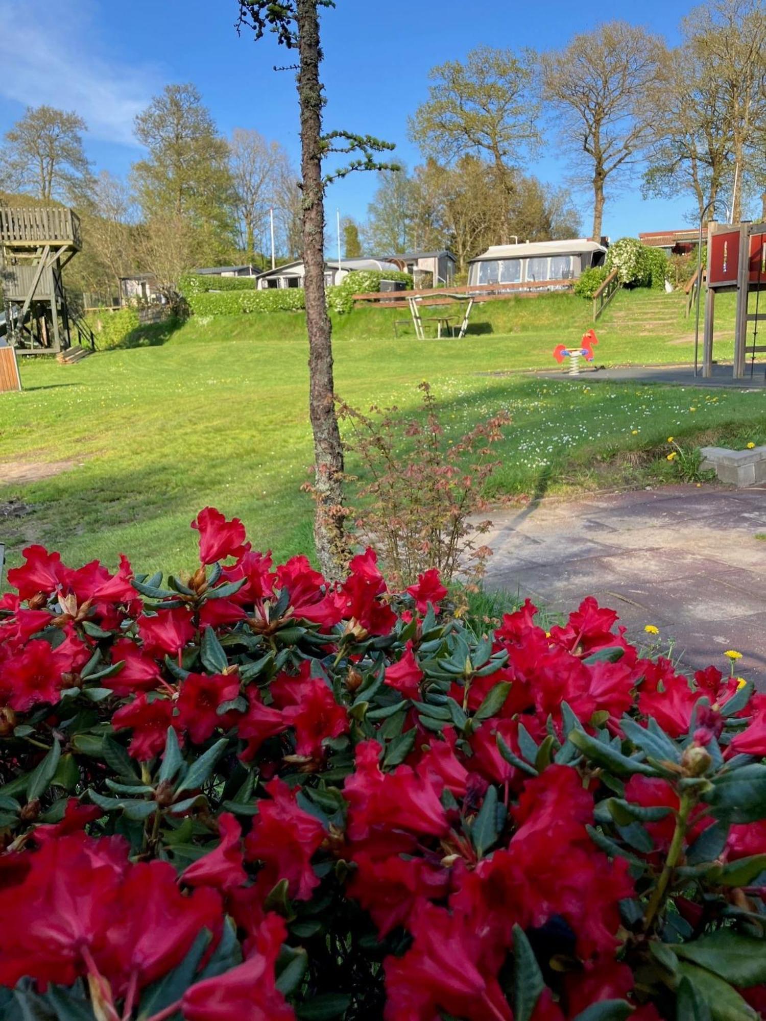 Randboldal Camping & Cabins Екстер'єр фото